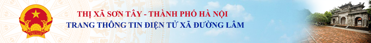 Trang Thông Tin Điện Tử Xã Đường Lâm
